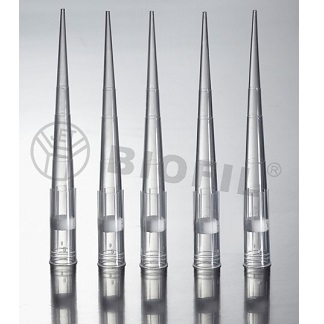 һ����΢����ͷ